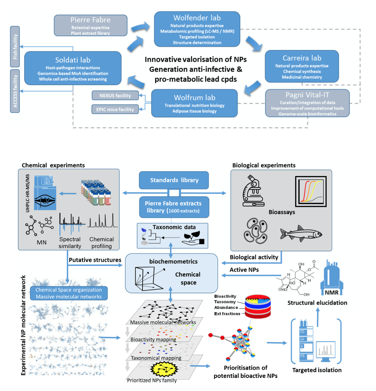 Project summary